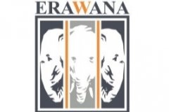 Эравана (Erawana Co., Ltd.) logo